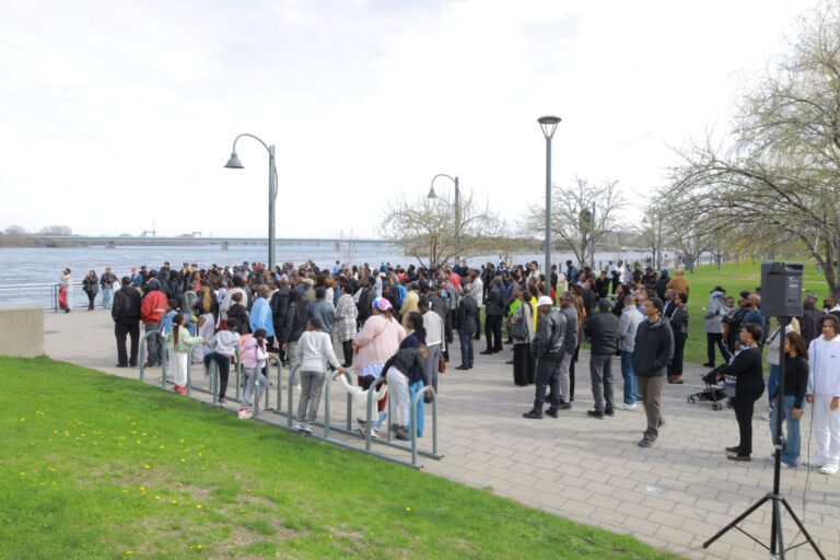 A crowd of people standing around in the grass.