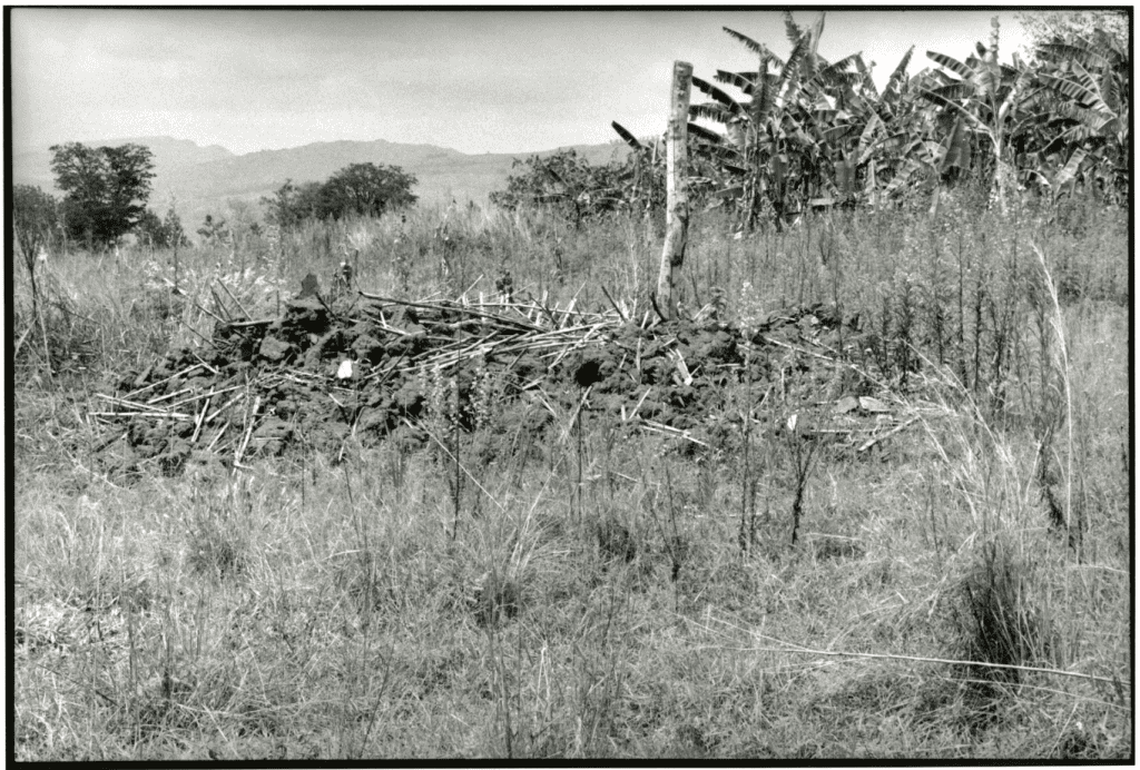 Field with rocks and tall grasses.